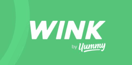 WinkGPT
